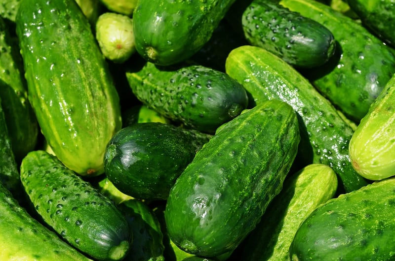 Sustainable Farming